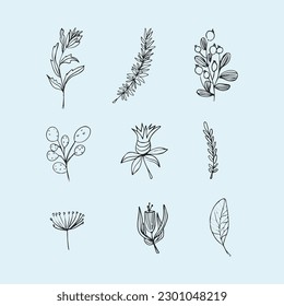 These are elegant hand drawn flowers leaves vector.