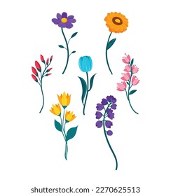 These are flat vector spring flowers.