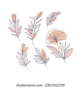 Estas son ilustraciones de flores en vector.