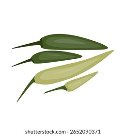 Estas são quatro pequenas pimentas verdes e amarelas sobre um fundo branco.