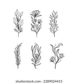 These are hand drawn herbs and flowers in vector.