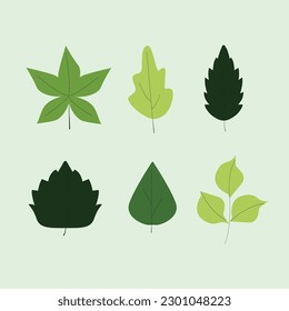 These are hand drawn leaves set.