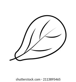 These are leafy icons that use the outline style for your design projects or for stickers