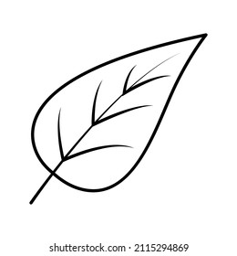 These are leafy icons that use the outline style for your design projects or for stickers
