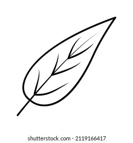 Estos son iconos de hoja que utilizan el estilo de contorno para sus proyectos de diseño o para pegatinas