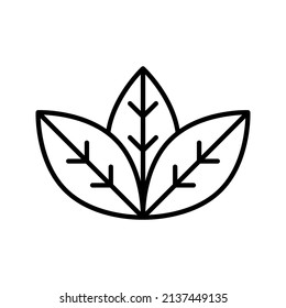 these are spring-related icons that use outline style