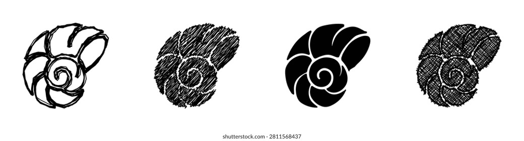 These unique shell illustrations highlight beautiful spiral patterns and artistic interpretations