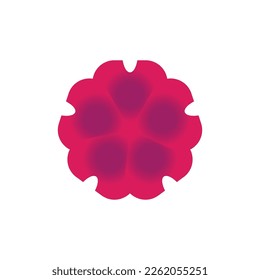 Estos son diseños de flores de forma vectorial en ilustrador