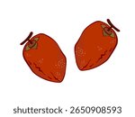 They are dried persimmons. It is Japanese Autumn food.