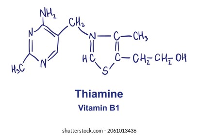 Thiamin-chemische Struktur. Vektorgrafik Handgezeichnet.