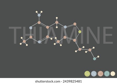 thiamine molecular skeletal chemical formula