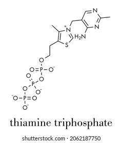 Thiamine triphosphate molecule. Skeletal formula.
