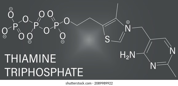 Thiamine triphosphate molecule. Skeletal formula. Chemical structure