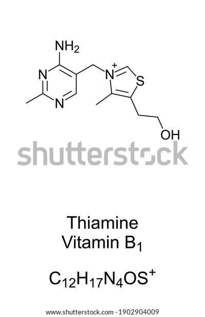 Thiamine Vitamin B1 Chemical Structure Skeletal Stock Vector (Royalty ...