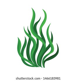 Thick algae bush. Vector illustration on white background.