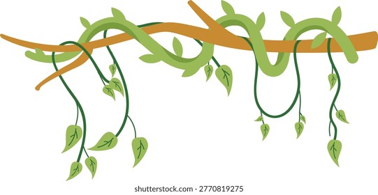Thick climbing vine wrapped around a sturdy brown tree branch with vibrant green leaves, depicting a lush tropical forest scene.