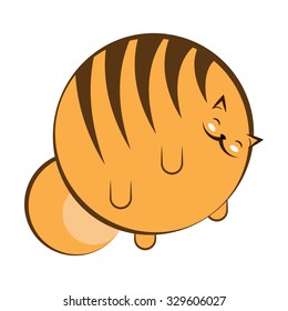 thick flat cat