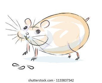 thick funny hamster eats seeds