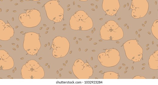 
Thick and funny hamsters. Hamsters in different angles. Lovely rodents