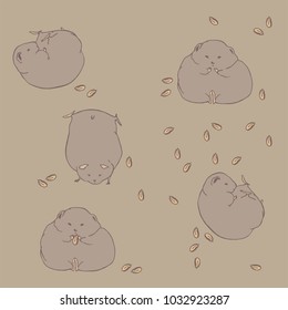 
Thick and funny hamsters. Hamsters in different angles. Lovely rodents