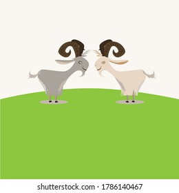 Cabras gruesas que tienen cuernos largos y grandes con piel blanca y gris 