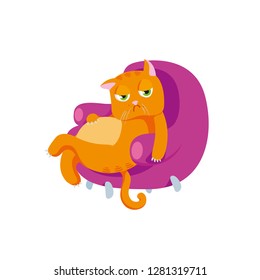Thick lazy sad red cat with an important face in a pink chair. Character cartoon animal for animation and games, funny pet in flat style for greeting cards, logos, textiles, books. Isolated vector