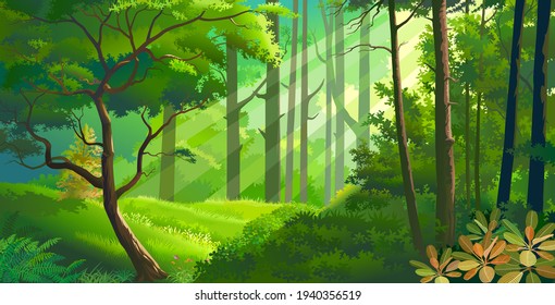 Thick meadows within a dense forest with fauna and flora. Rays of light penetrating through the leaves.