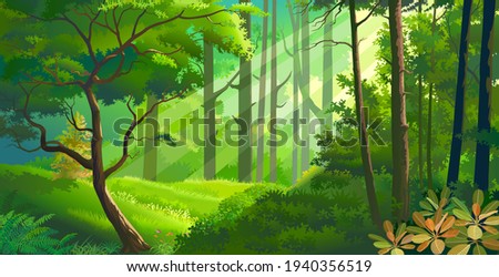 Thick meadows within a dense forest with fauna and flora. Rays of light penetrating through the leaves.