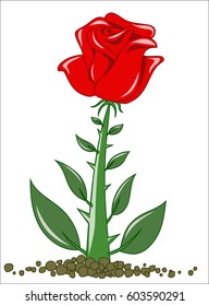 Thick rose on soil. Vector illustration.