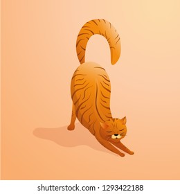 Thick striped red cat stretches sleepily. A pet with a long fluffy tail. Vector illustration.	

