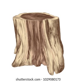 thick stump in the form of table, sketch vector graphics colored drawing