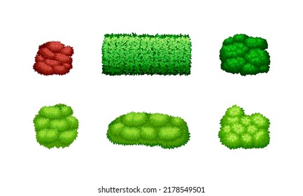 Thick thickets of bushes of different shapes set. Shrubs for park, garden decor, green fence cartoon vector illustration
