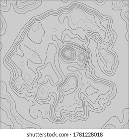 Dicke und dünne schwarze Linien auf grauem Hintergrund. Abstrakte Vorlage für die Topographische Kontur. EPS10-Vektorgrafik