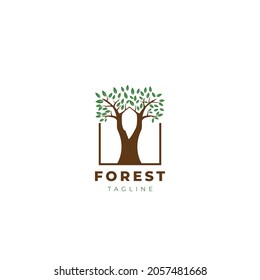 Plantilla de diseño de logotipo de bosque de árbol grueso