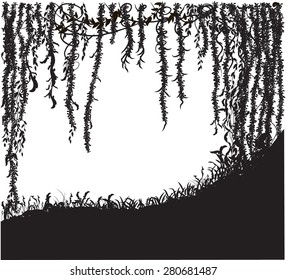 thicket,  jungle shadows, liana cave, black and white