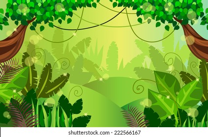 thickets in the jungle