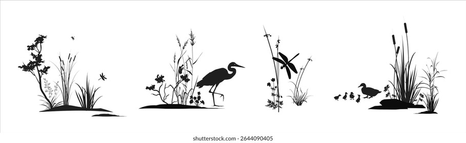 Espessuras de junco, cana, rabo de gato, erva-de-seda, arbustos, outras plantas de pântano com libélulas, garça de pássaro, patos e patinhos. Pântano flora e fauna monocromática isolado silhueta paisagem conjunto de desenhos.