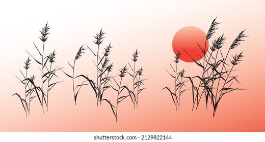 Thickets of reeds against the background of sunset (sunrise) of the sun. Silhouette abstract landscape vector drawing. 