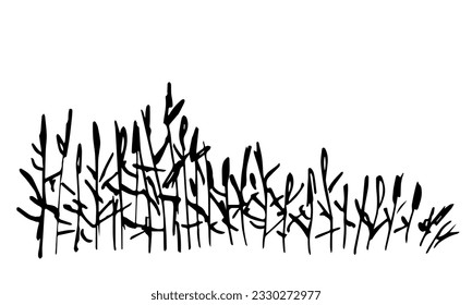 Thickets of reeds, river vegetation. Lakeside, duck hunting, fishing. Simple black outline vector drawing. Sketch in ink.