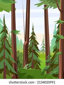 Thickets. Tree trunks. Young and adult christmas trees. Beautiful pine forest. Wild floral landscape. Illustration in cartoon style flat design. Vector