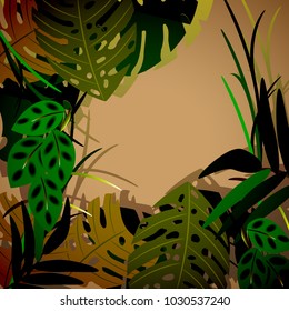 Thickets of tropical plants against the background of the evening sky.Exotic bushes and trees.