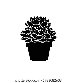 Thick-leaf succulent cluster in a pot, rosette plant icon, black vector