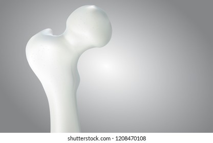 Thigh bone and human sphincter. On a white background - 3D rendering can be word or word paste.