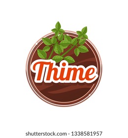 Thime Spice. Vector Illustration.