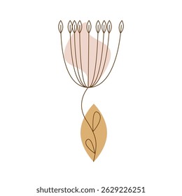 Thin botanical seed head flower with warm toned leaves.