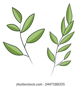 Thin branches with green leaves. Aesthetic image of foliage. Eco-friendly plant icons.