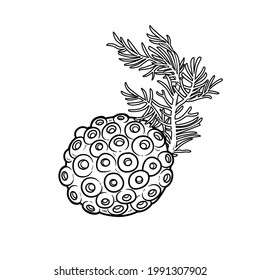 Thin branchy coral on round sponge  for coloring book linear drawing isolated on white background