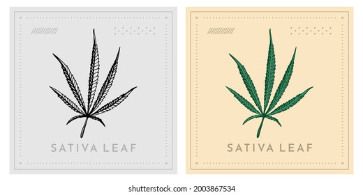 thin cannabis marijuana leaf or hemp sativa type vector