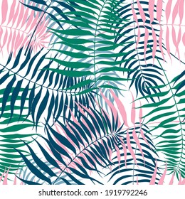 Thin colored tropical leaves on a white background.