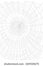 Thin and crispy cobweb background black on white. Vector illustration.